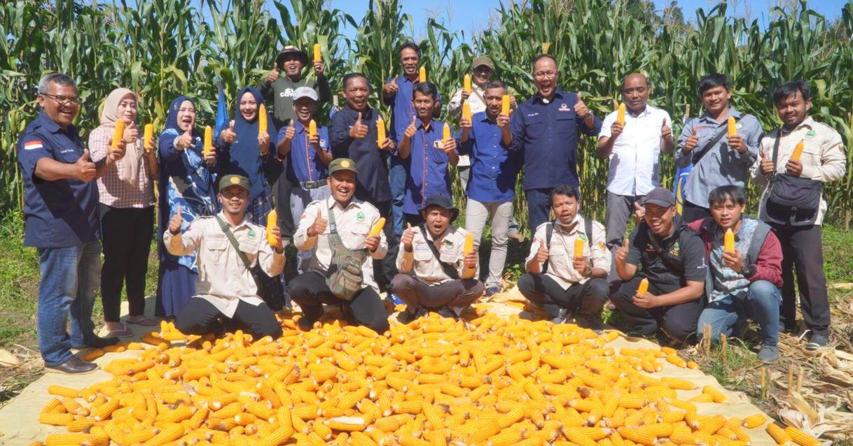 Pegiat pertanian Ayep Zaki (nomor 4 berdiri dari kanan) bersama petani saat panen jagung hibrida di Sukabumi, Jawa Barat.