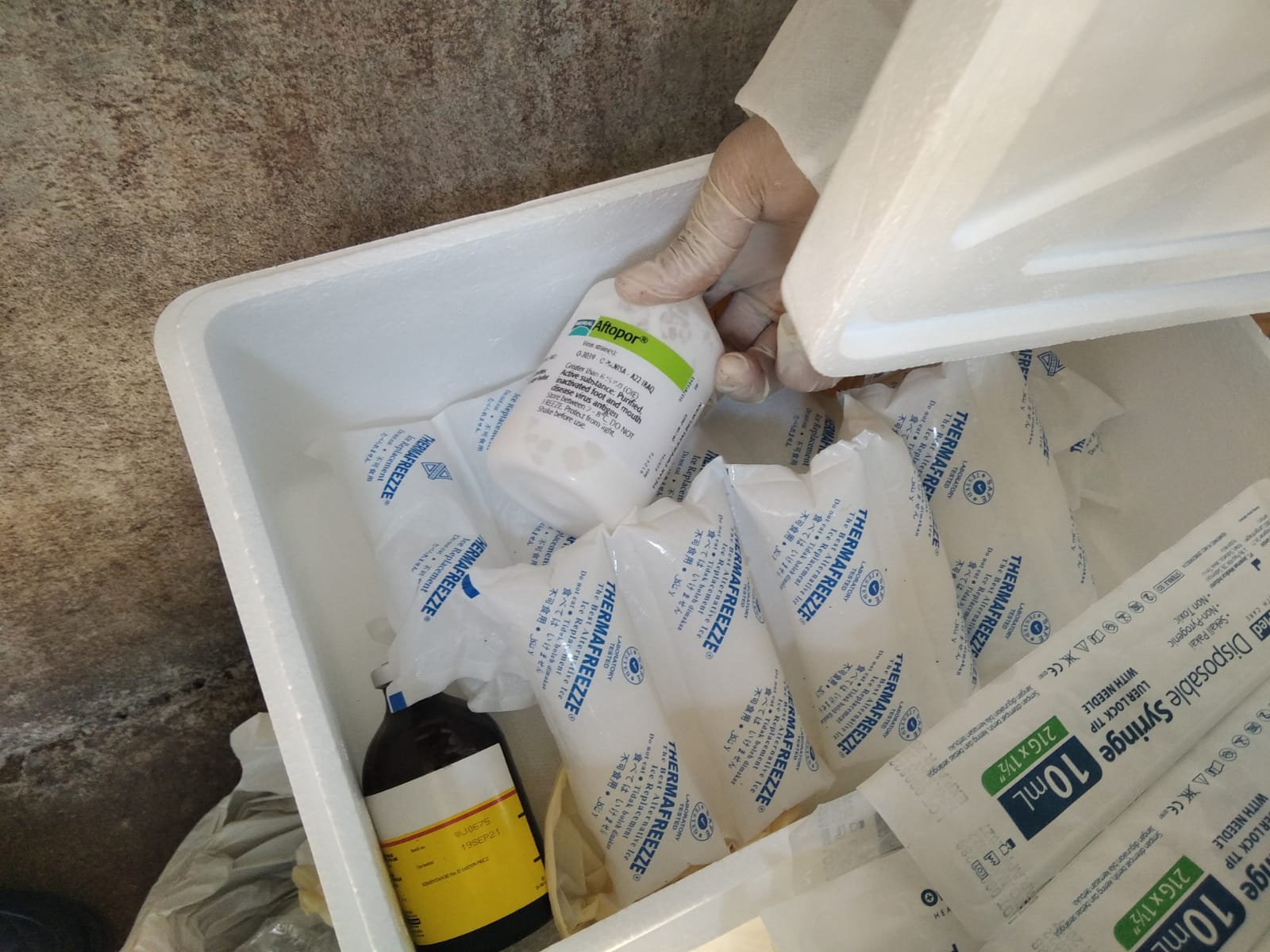 Vaksin untuk Penyakit Mulut dan Kuku yang diderita hewan ternak.