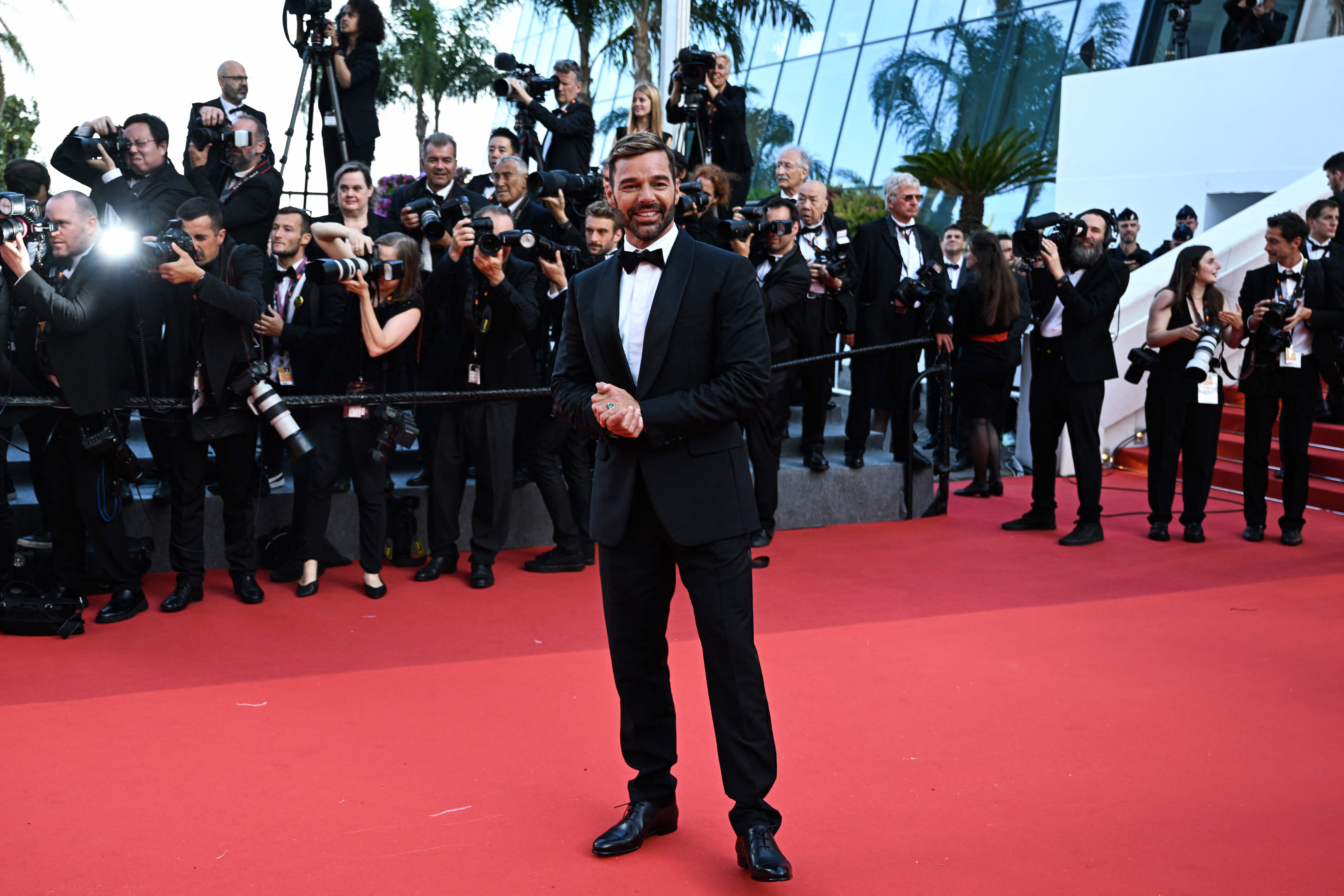 Penyanyi Ricky Martin