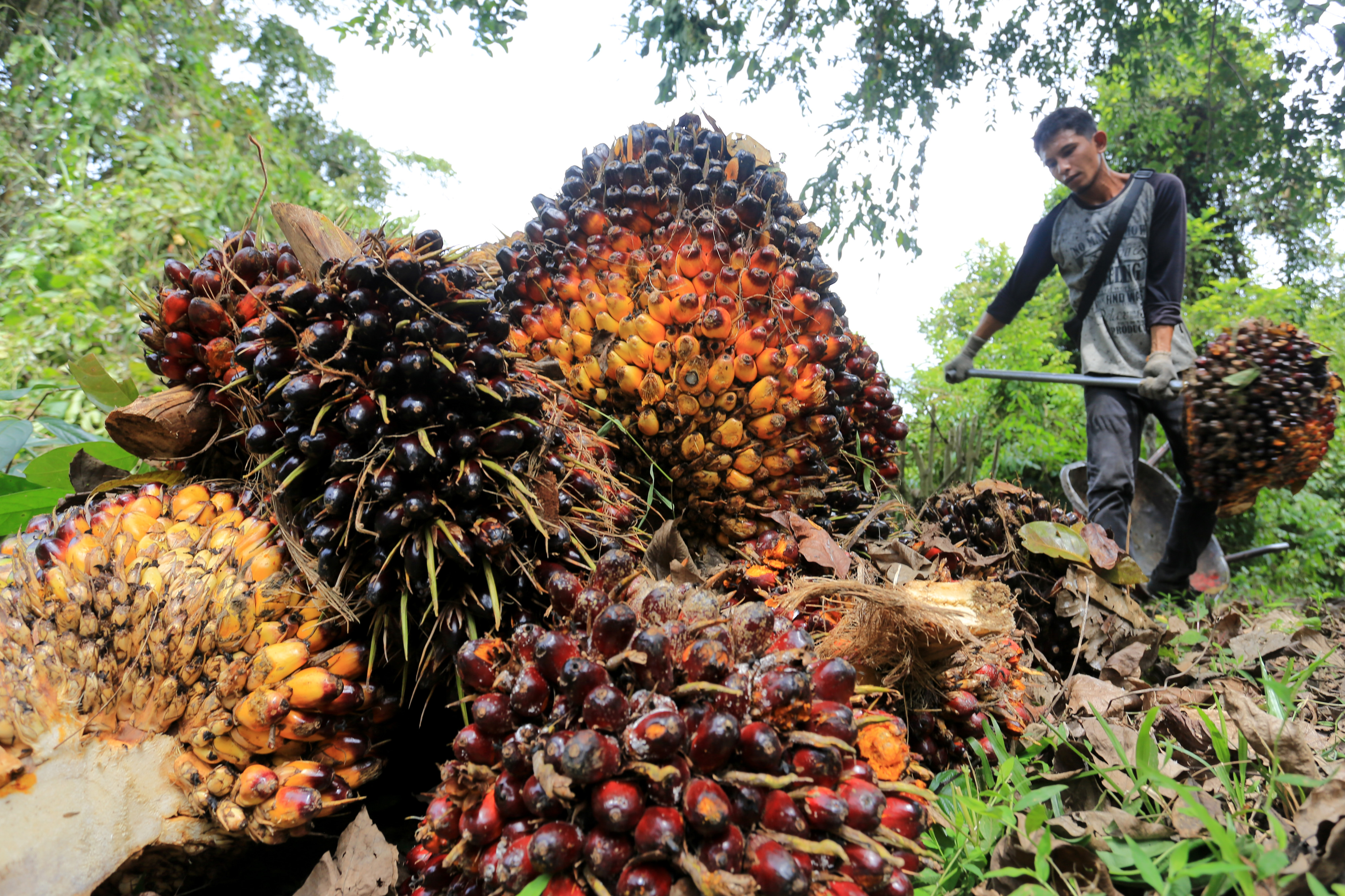 Kejagung Periksa Tiga Saksi dari Kemendag Terkait Kasus CPO
