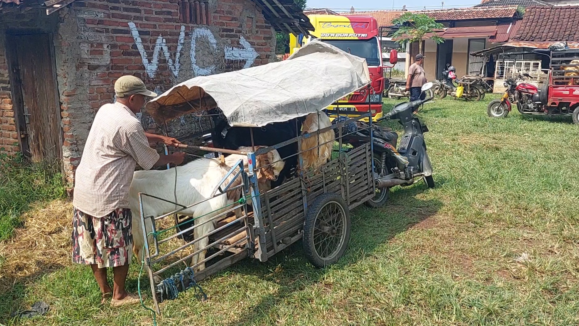 Penyedia jasa ojek kambing di Pasar Hewan Desa Jurang, Gebog, Kudus, Rabu (6/7/2022).