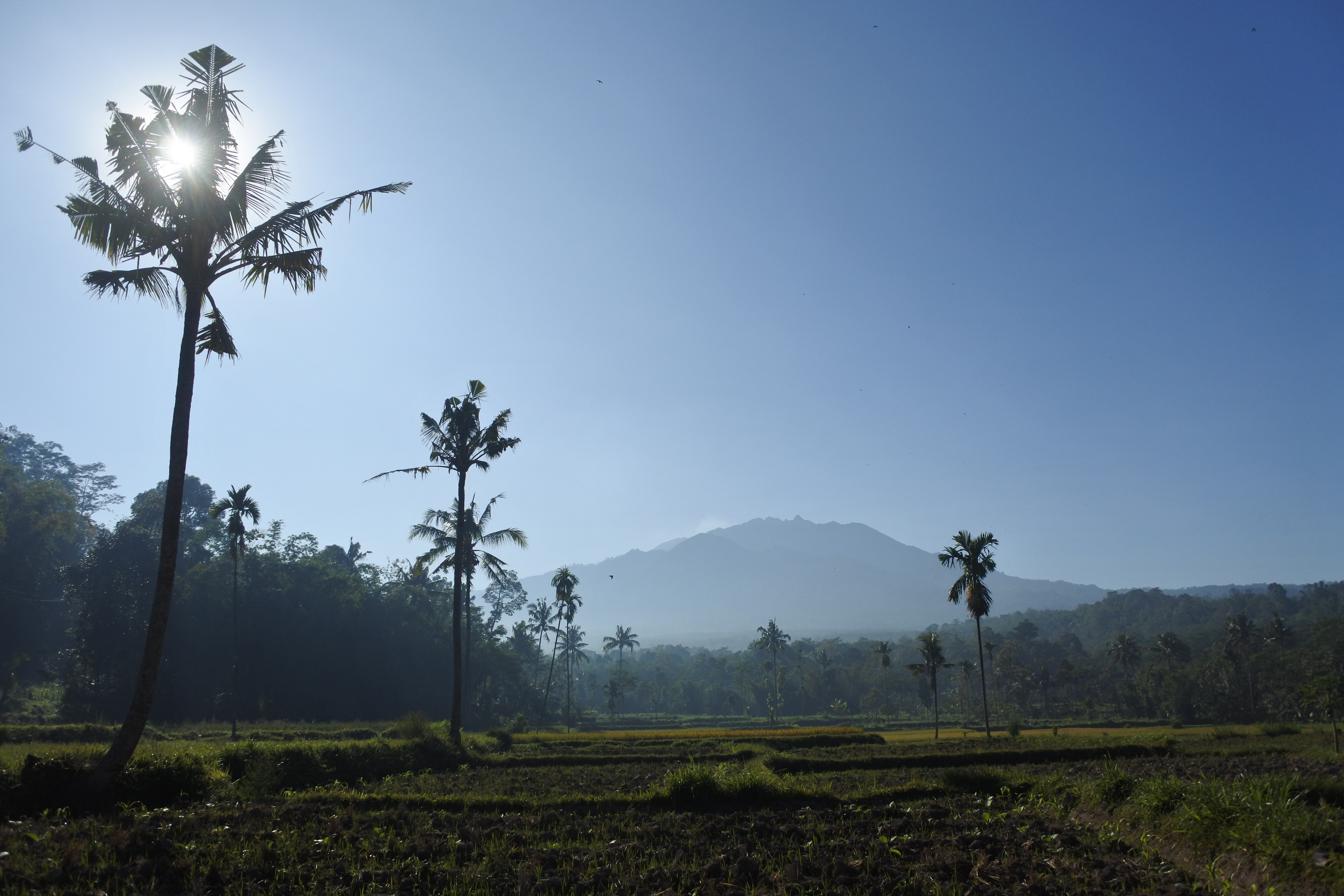 Gunung Raung terlihat dari Desa Gunung Malang, Sumberjambe, Jember, Jawa Timur, Kamis (28/7).
