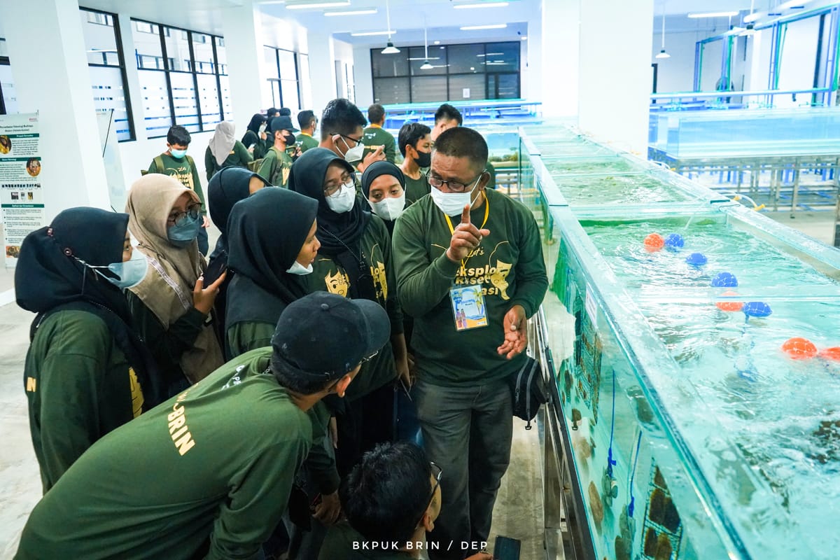  PIRN merupakan salah satu cara BRIN untuk menjaring talenta muda Indonesia yang memiliki minat tinggi dalam melakukan riset.