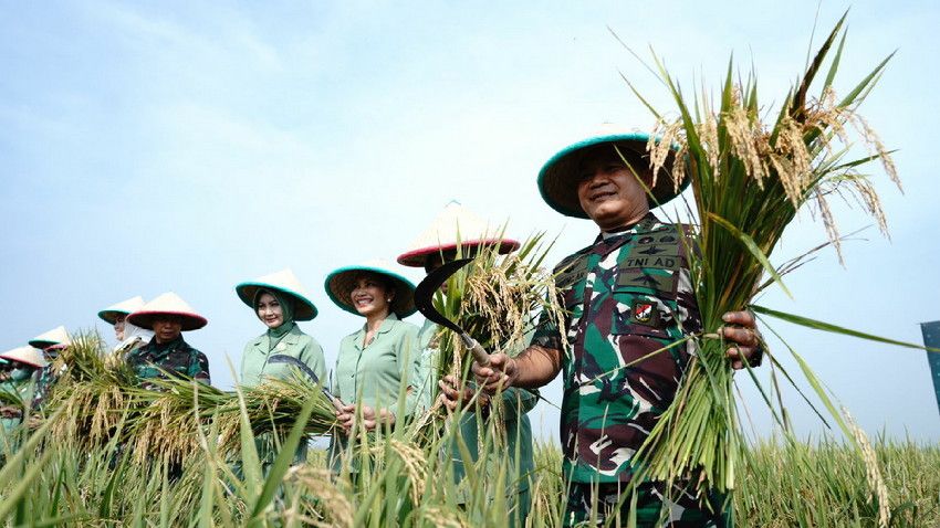 Kasad Jenderal TNI Dudung Abdurachman panen bersama 