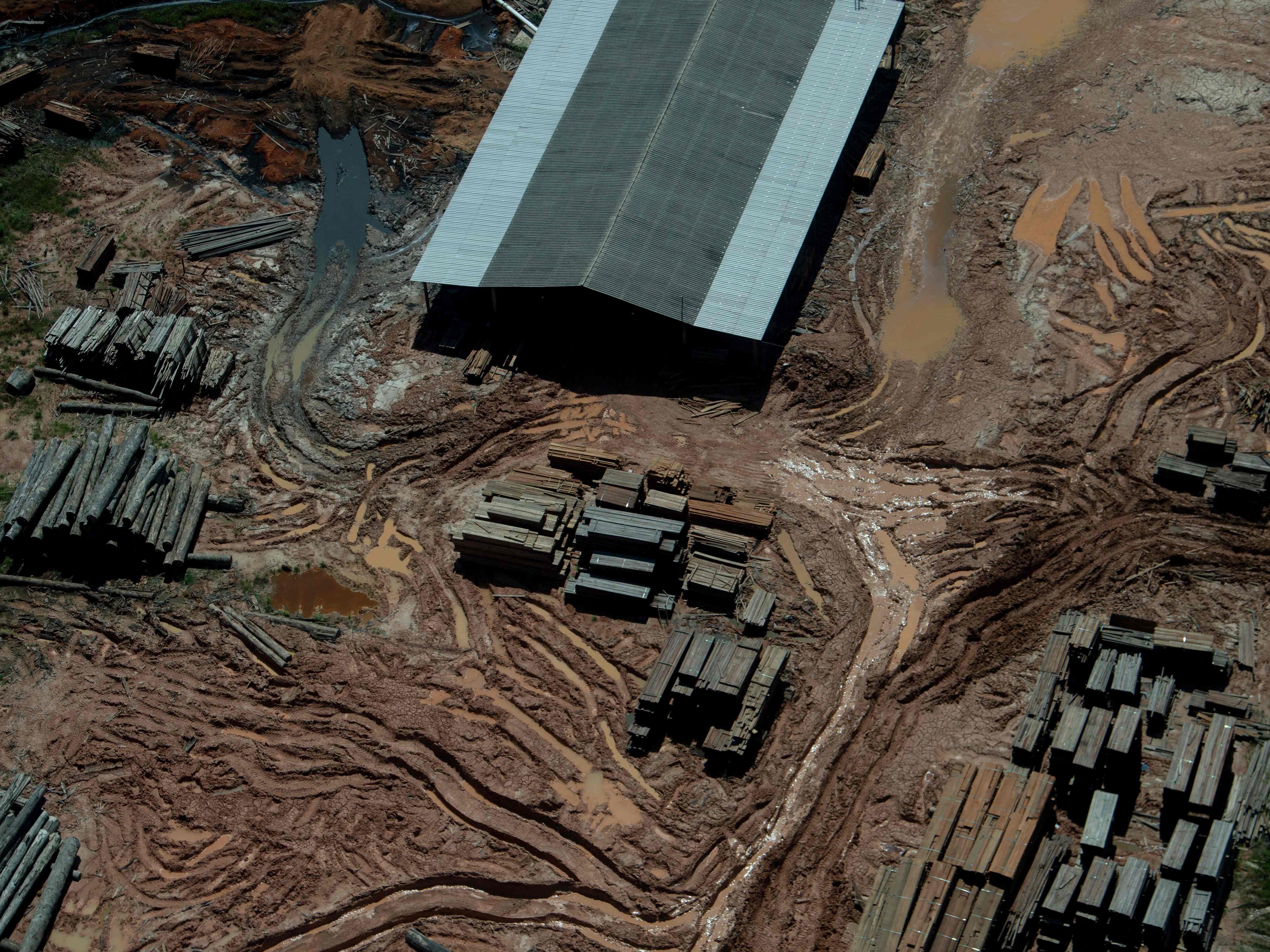 Amazon Brasil Kehilangan 18 Pohon per Detik pada 2021