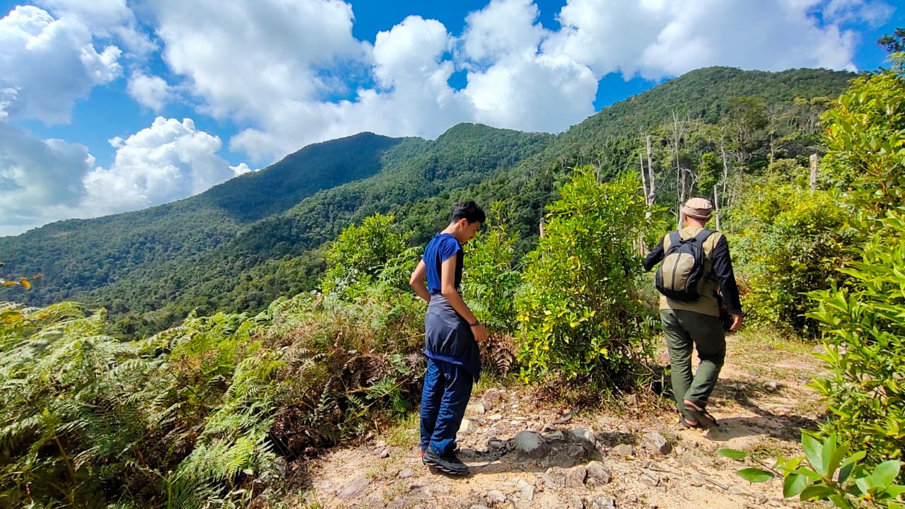 Sejumlah orang mendaki Gunung Maras, gunung tertinggi di Provinsi Bangka Belitung