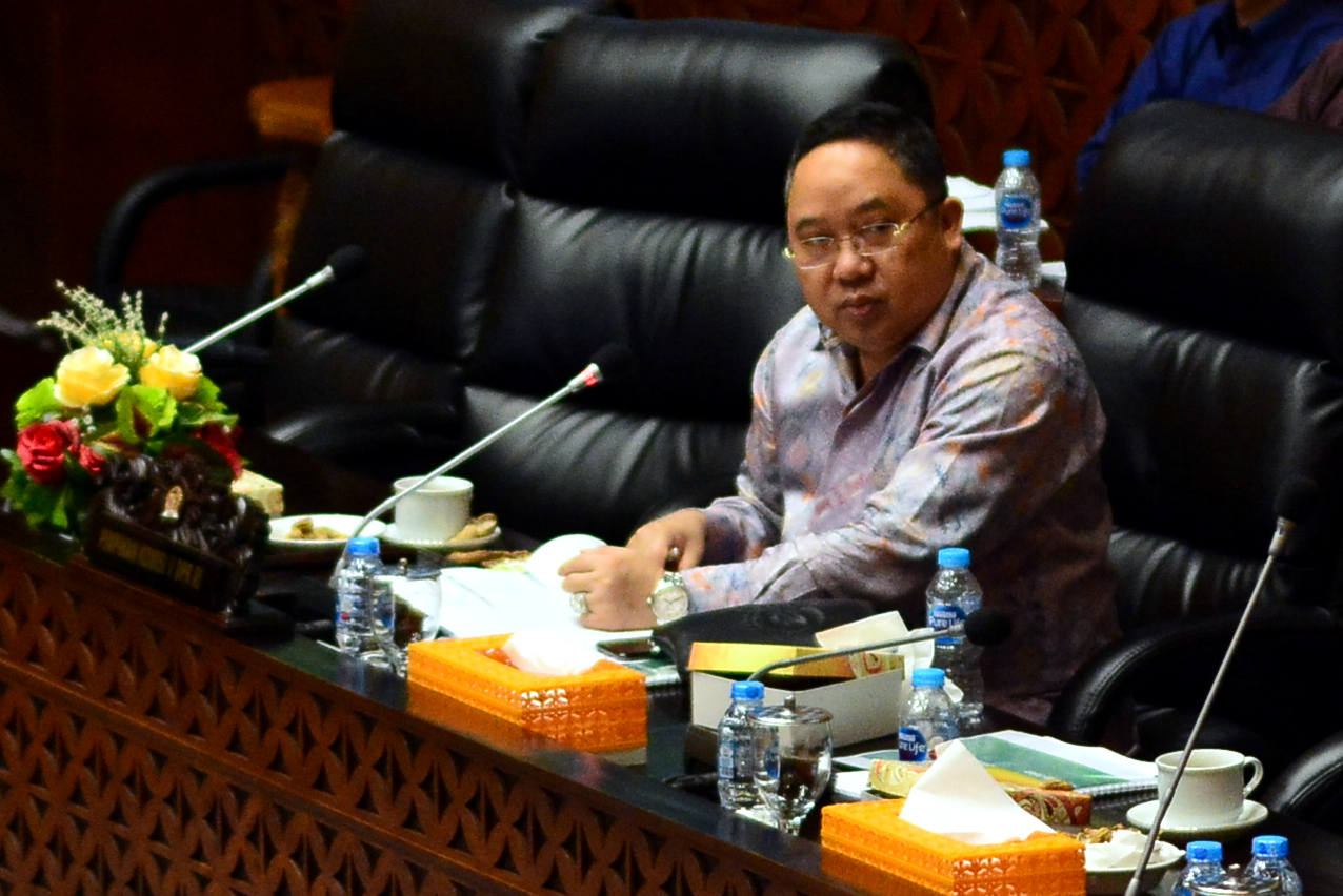 Wakil Ketua Komisi V  DPR RI Saifullah Tamliha