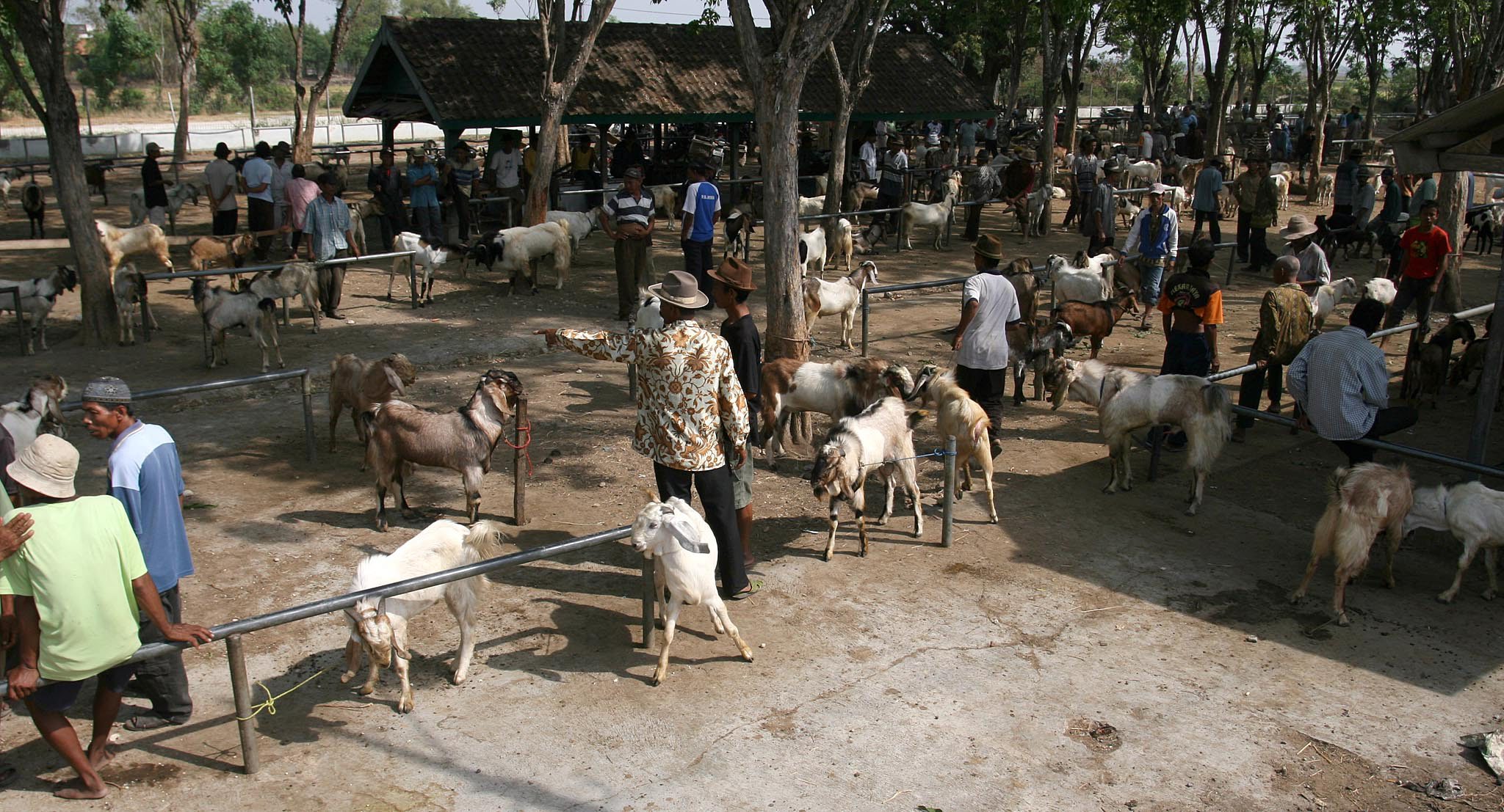 Pasar hewan saat ini ramai dijual kambing dan sapi untuk kurban pada Idul Adha 1443 H/2022