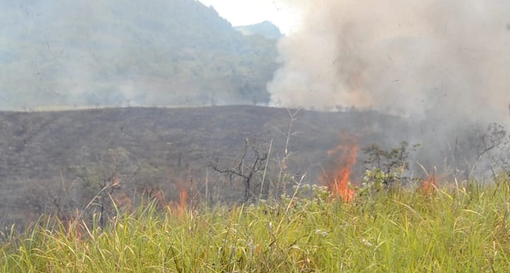 Spot Wisata Eksotis di Flotim Terbakar