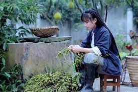 Inilah Hal-Hal yang Harus Dimiliki Kreator Konten