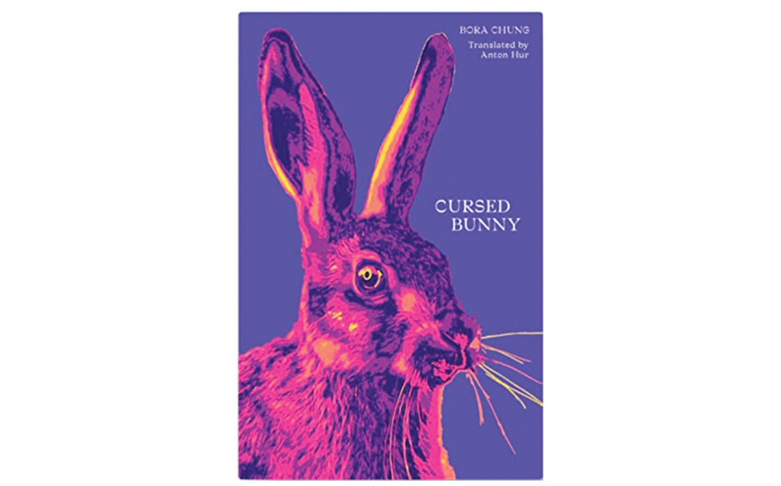 Amarah Bora Chung dalam Cursed Bunny