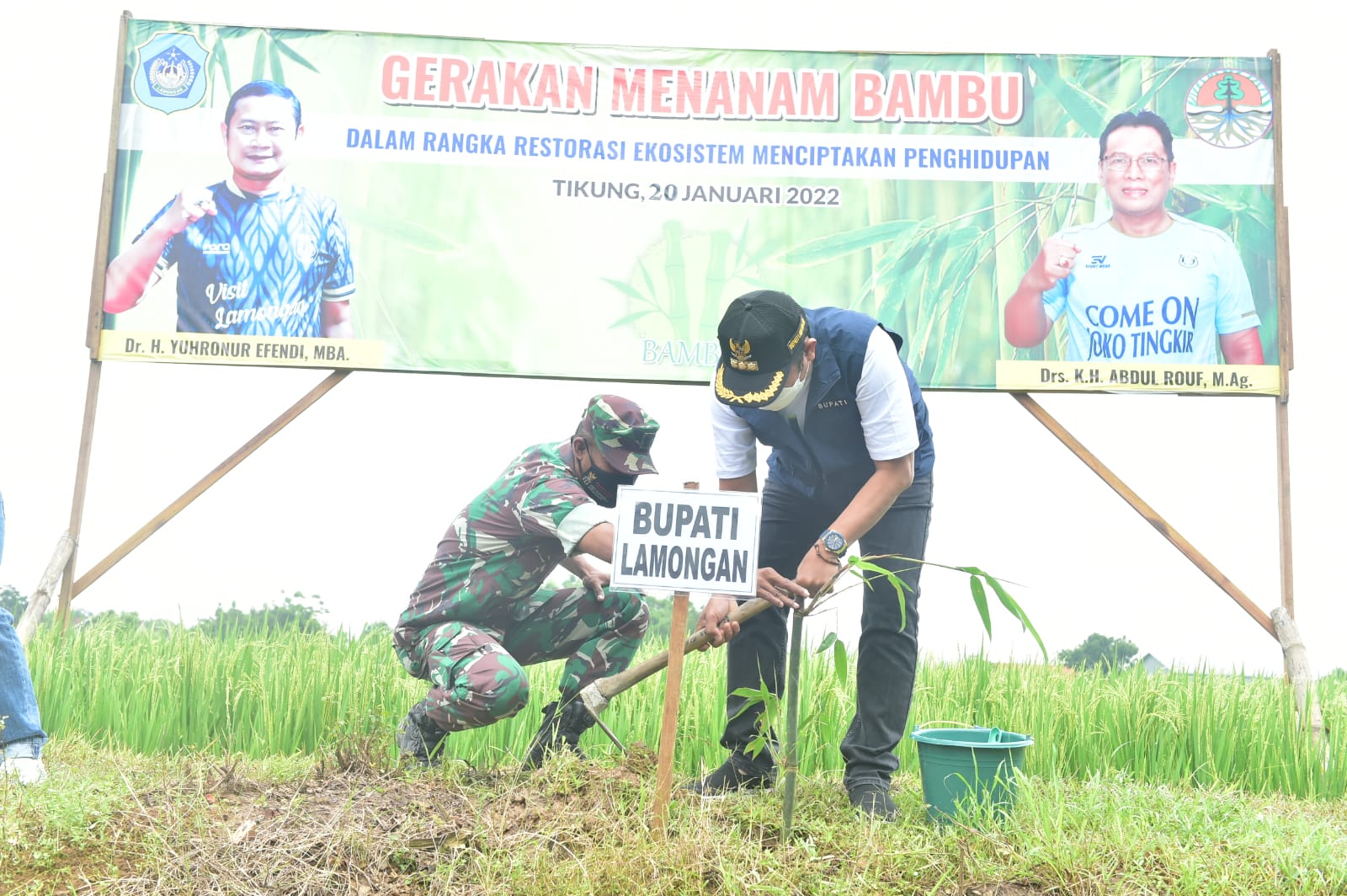 Ilustrasi gerakanan menanam bambu sebagai upaya menjaga kelestarian lingkungan