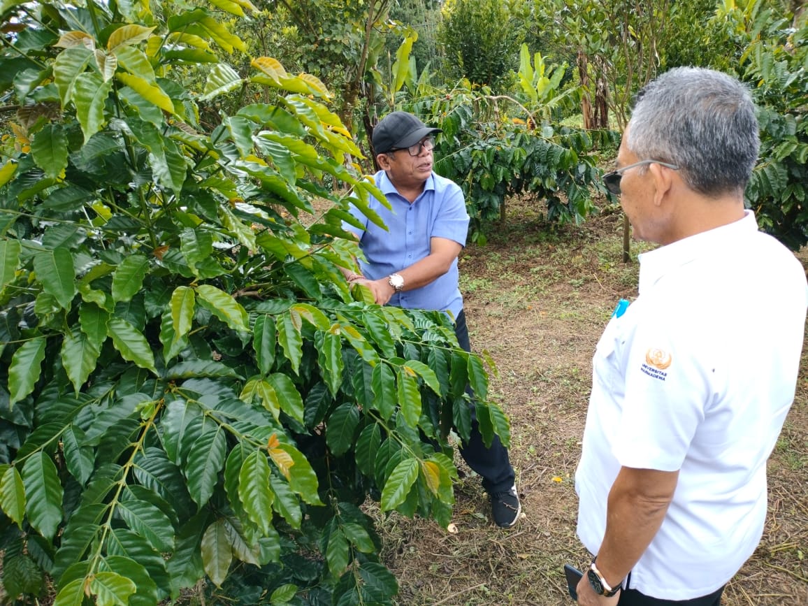 Akademisi Fakultas Pertanian, Universitas Warmadewa, I Gusti Bagus Udayana menjelaskan potensi kopi Bali