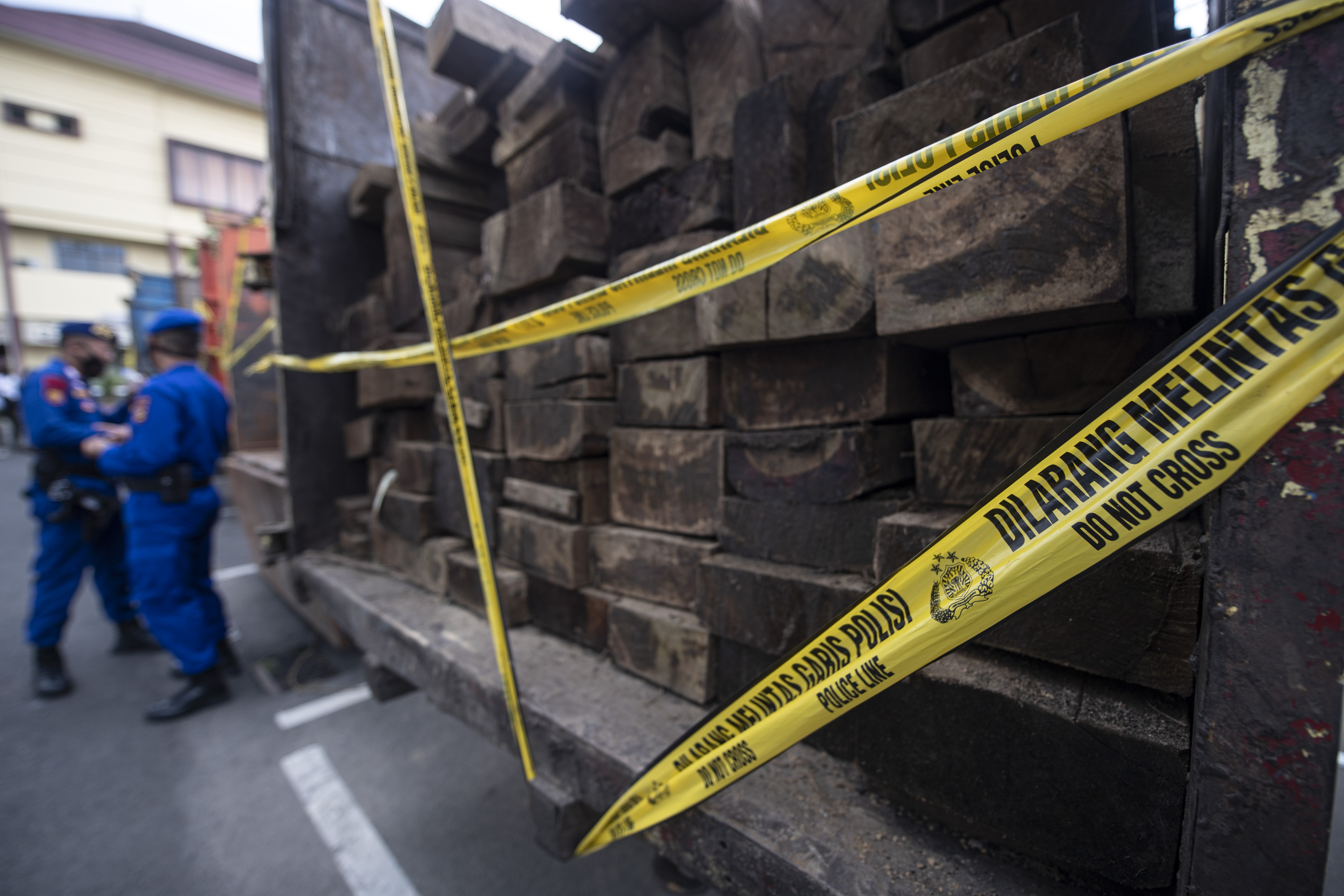 Peredaran kayu ilegal