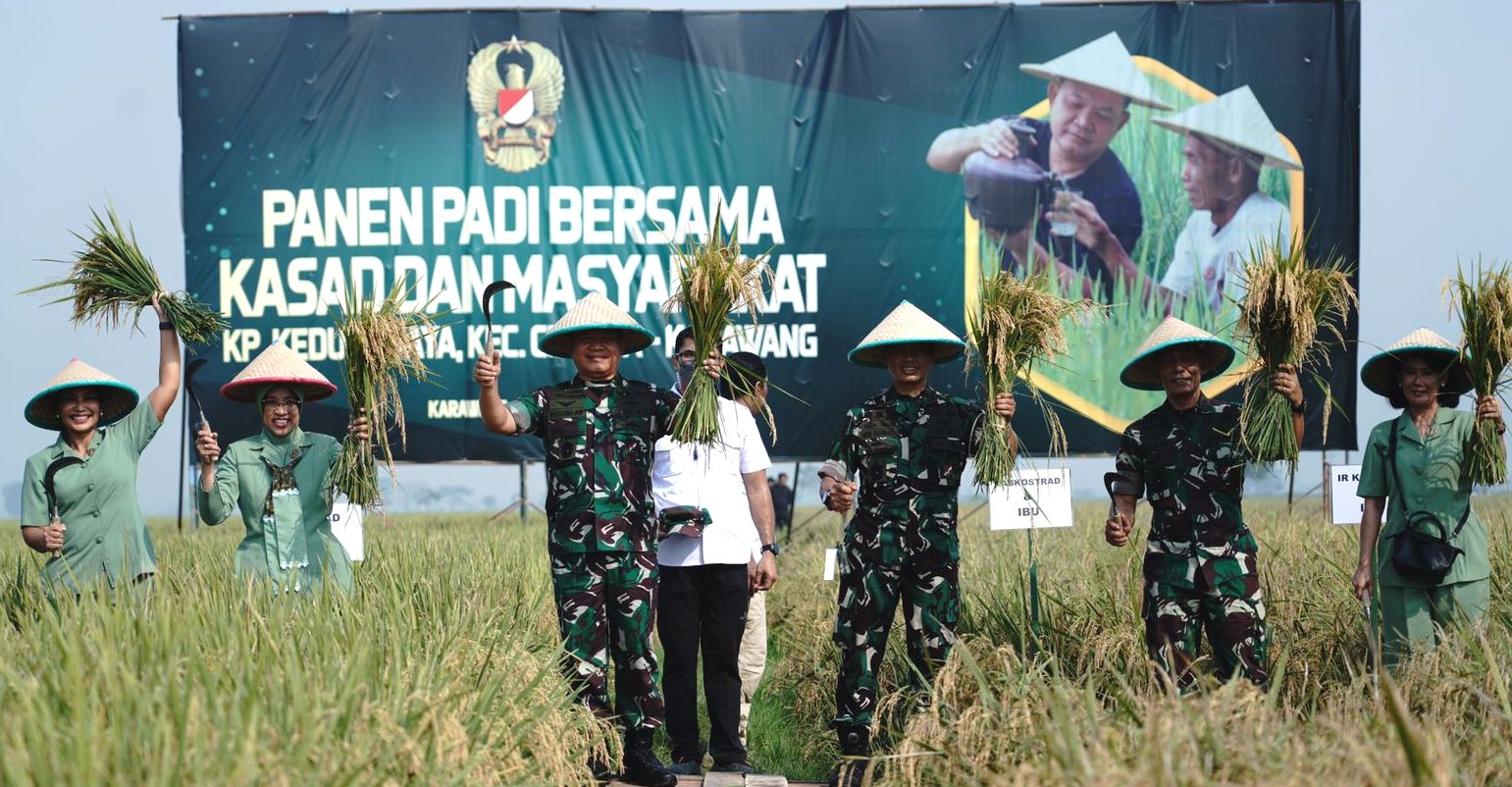 KSAD Jenderal Dudung Abdurahman melakukan panen.