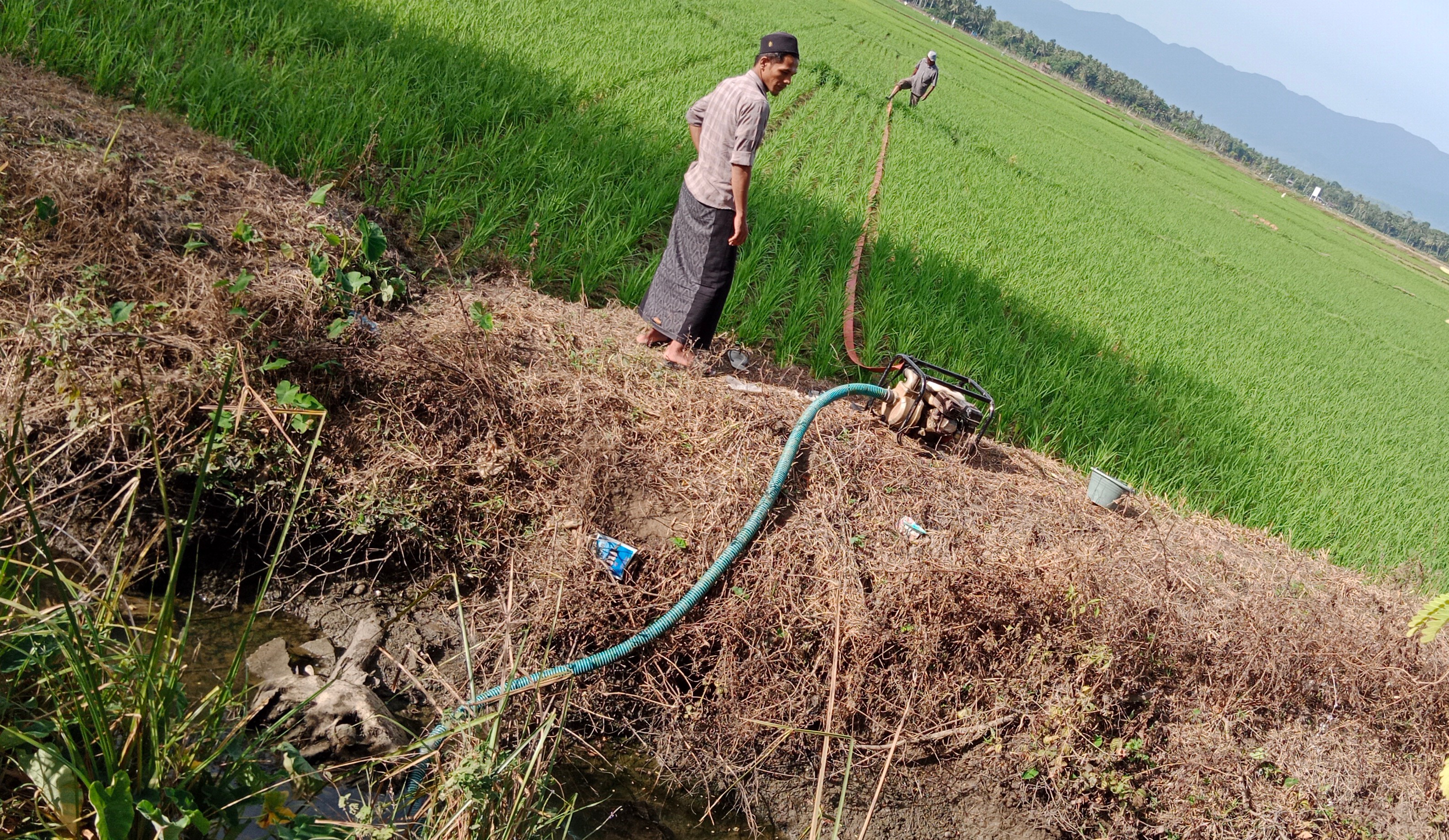 Petani di kawasan Desa Mesjid Reubee, sedang menggunakan pompa air dari saluran pembuang, untuk mengairi lahan sawah mereka.
