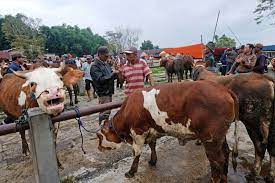 Kemenkop UKM Serahkan Hewan Kurban Melalui Baznas