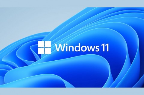 Windows 11