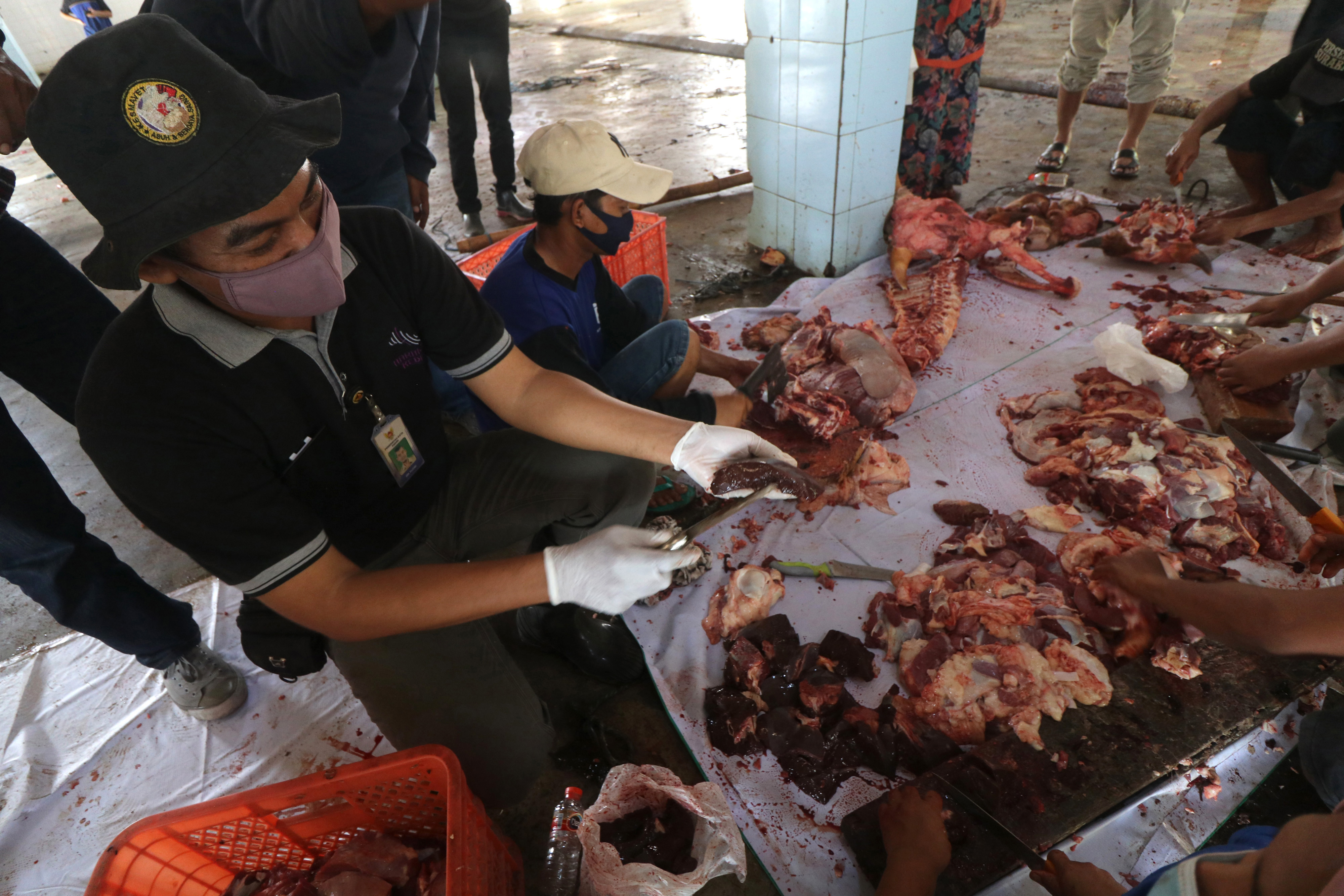Ilustrasi sidak kelayakan daging dan jeroan hewan kurban