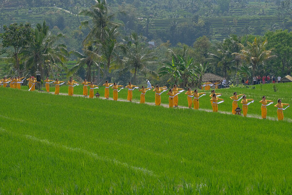 Kawasan Jatiluwih, Bali