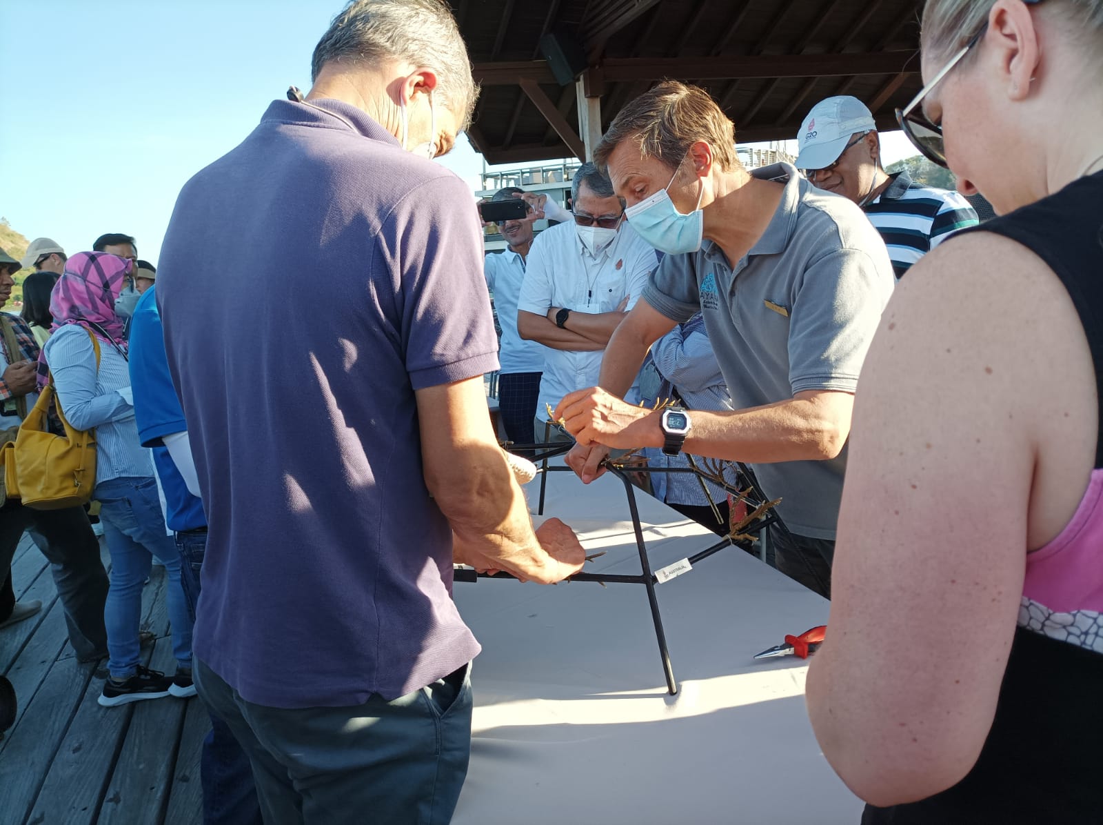 Delegasi Sherpa Meeting G20 Labuan Bajo sedang memasang terumbu karang. Indonesia menekankan pentingnya ekonomi berkelanjutan.