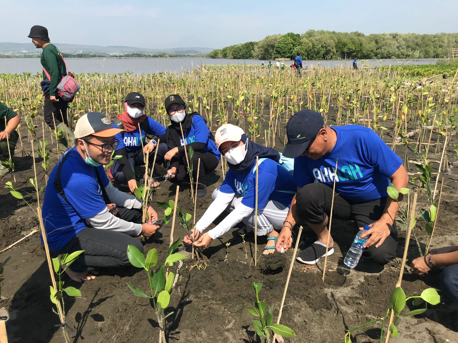Penanaman mangrove menjadi salah satu hal yang cukup signifikan untuk menjaga kota ini supaya terhindar dari bahaya rob, pasang surut air la