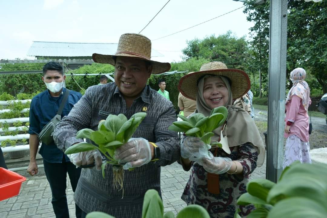 Ilustrasi penanaman pohon kopi