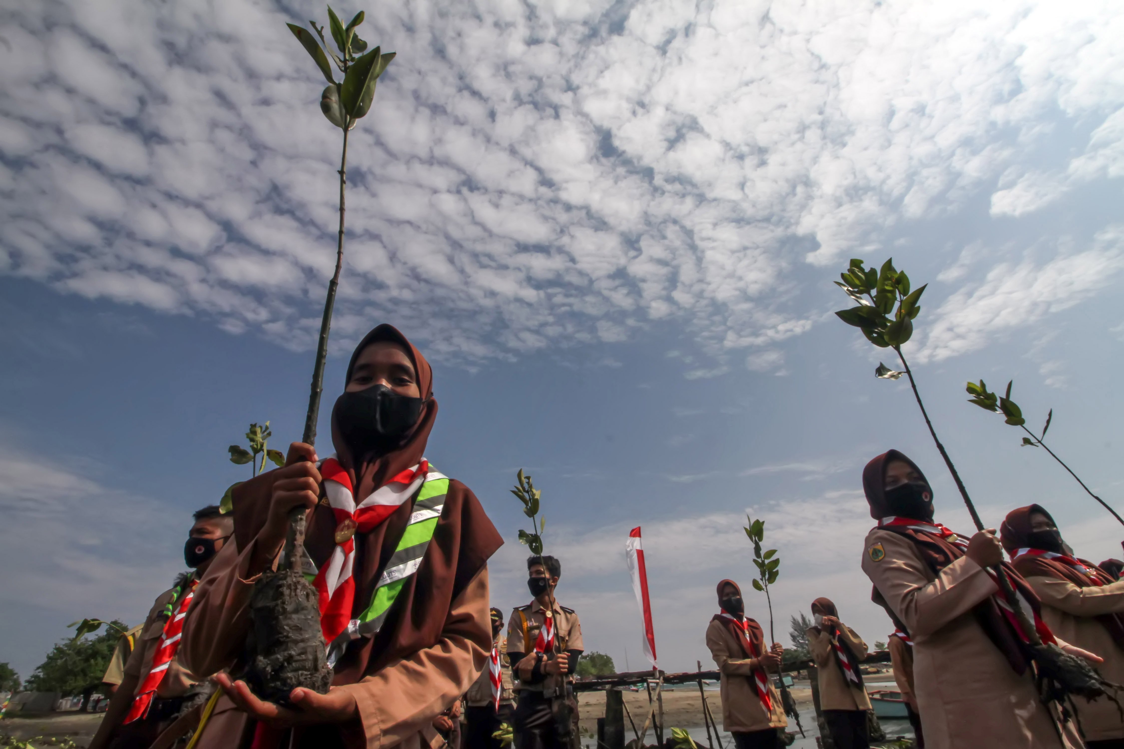 Sejumlah anggota pramuka memegang bibit mangrove yang akan ditanam.