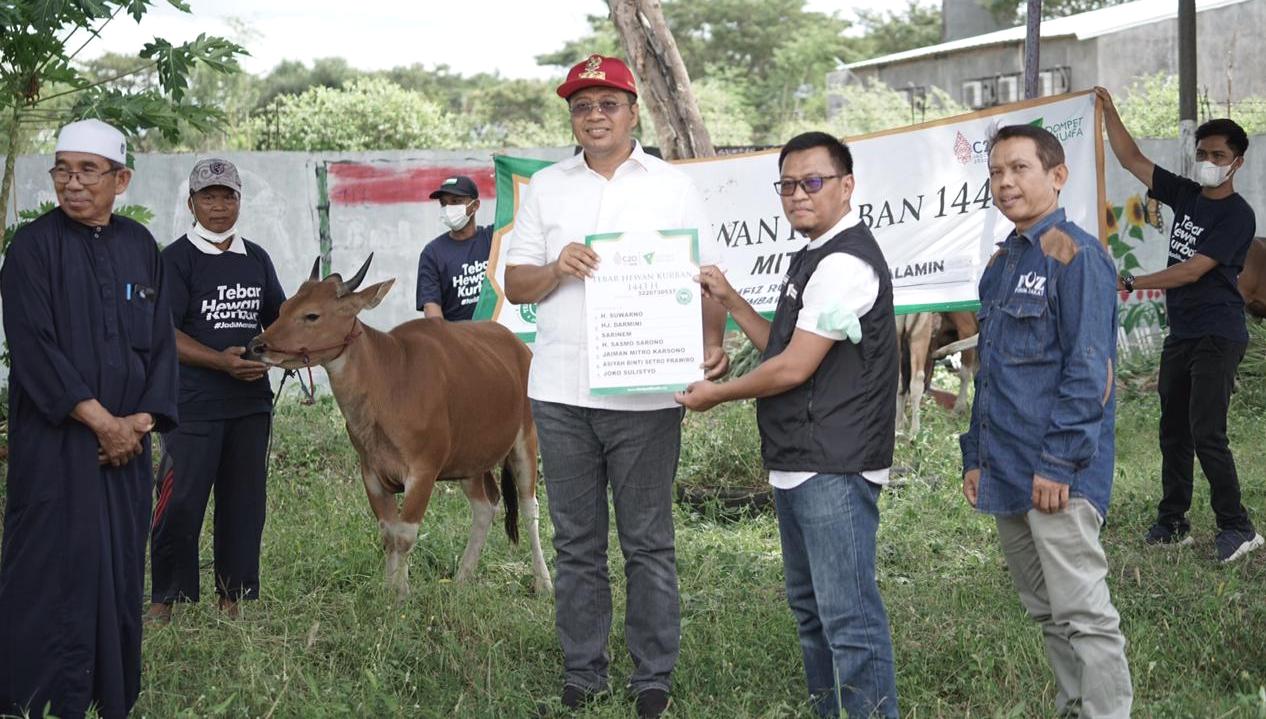 Proses penyerahan hewan kurban.