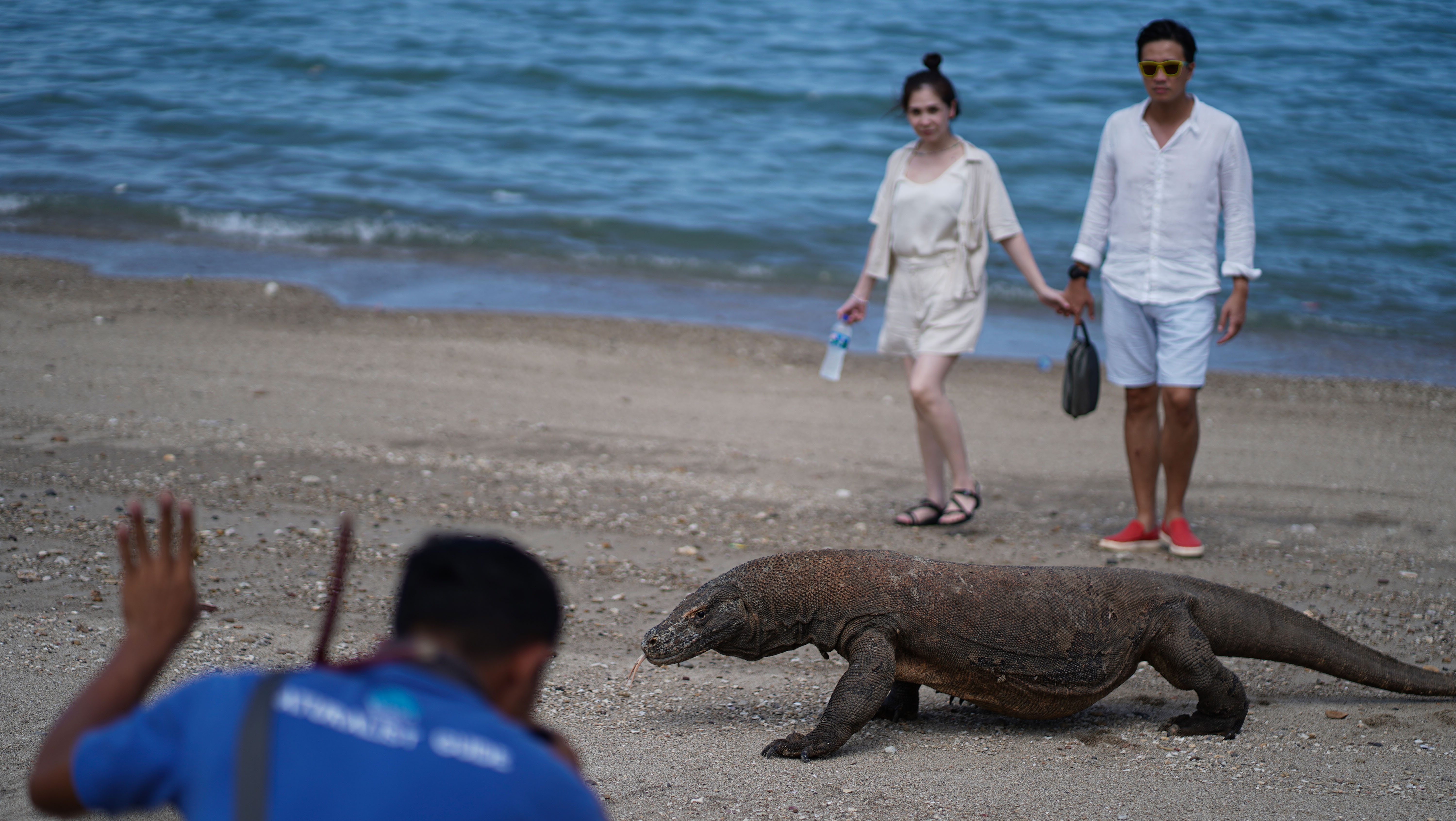 Pengunjung berfoto dengan latar depan Komodo di Loh Liang, Pulau Komodo, Taman Nasional Komodo, Kabupaten Manggarai Barat, NTT.
