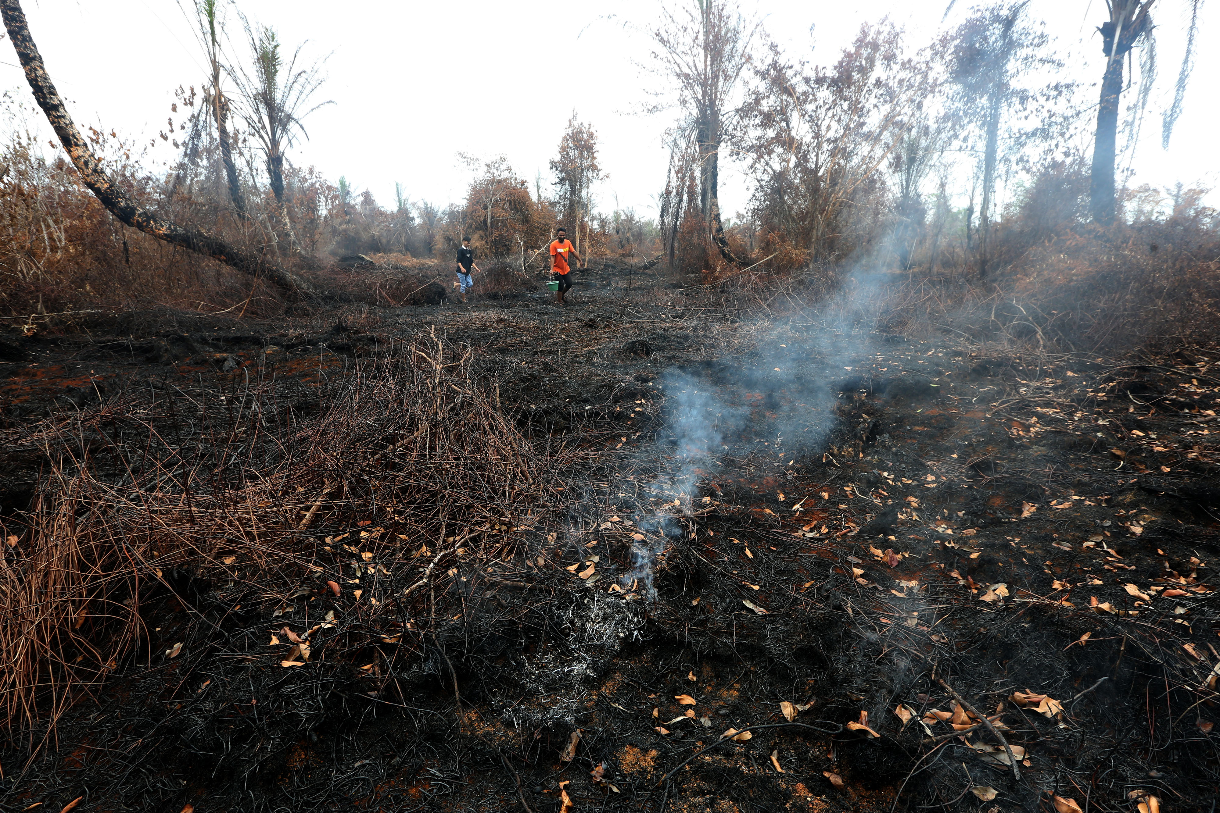 Sisa bara api akibat kebakaran hutan dan lahan (karhutla) di Kecamatan Darul Makmur, Nagan Raya, Aceh, Selasa (7/6/2022).