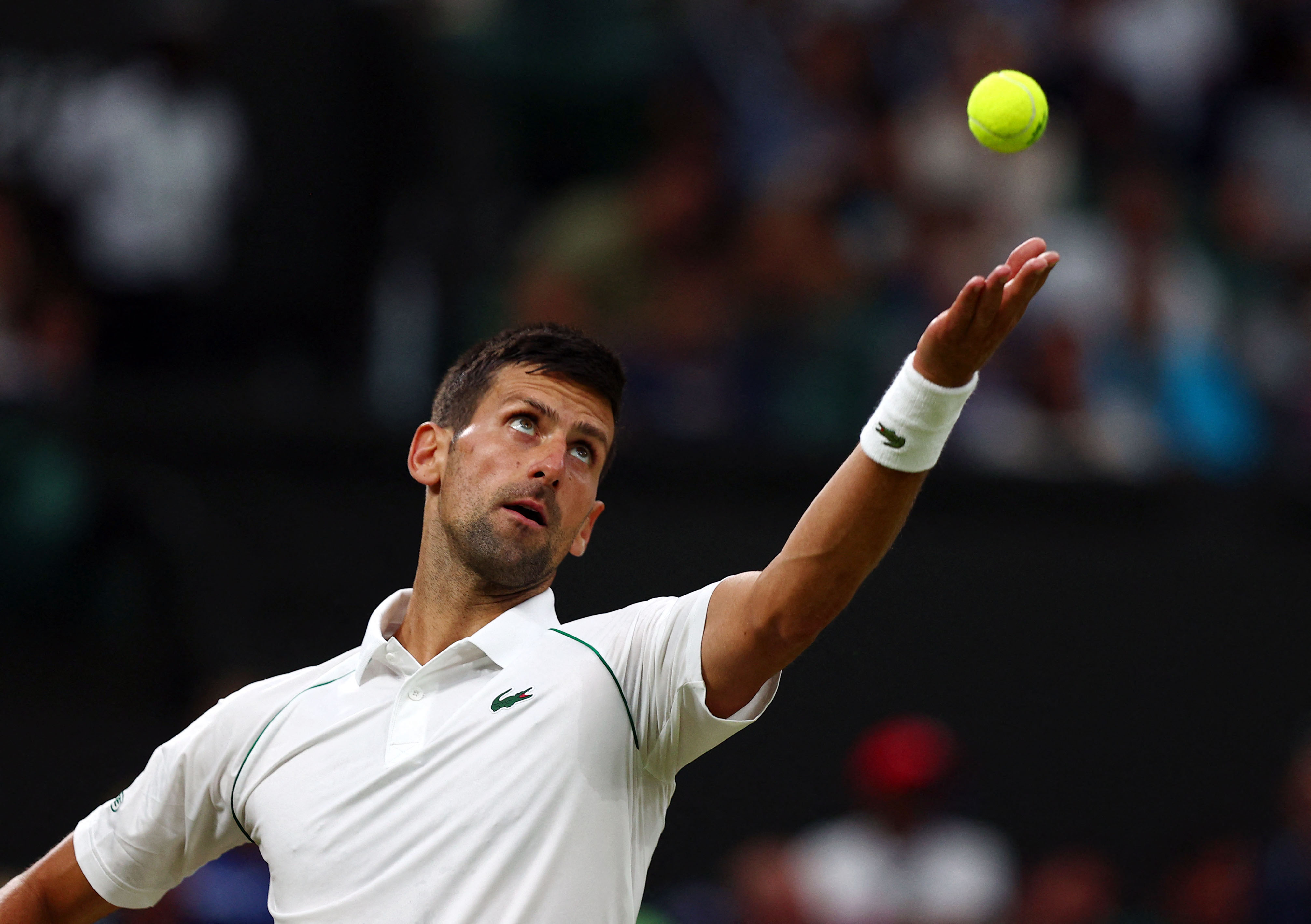 Petenis Serbia Novak Djokovic