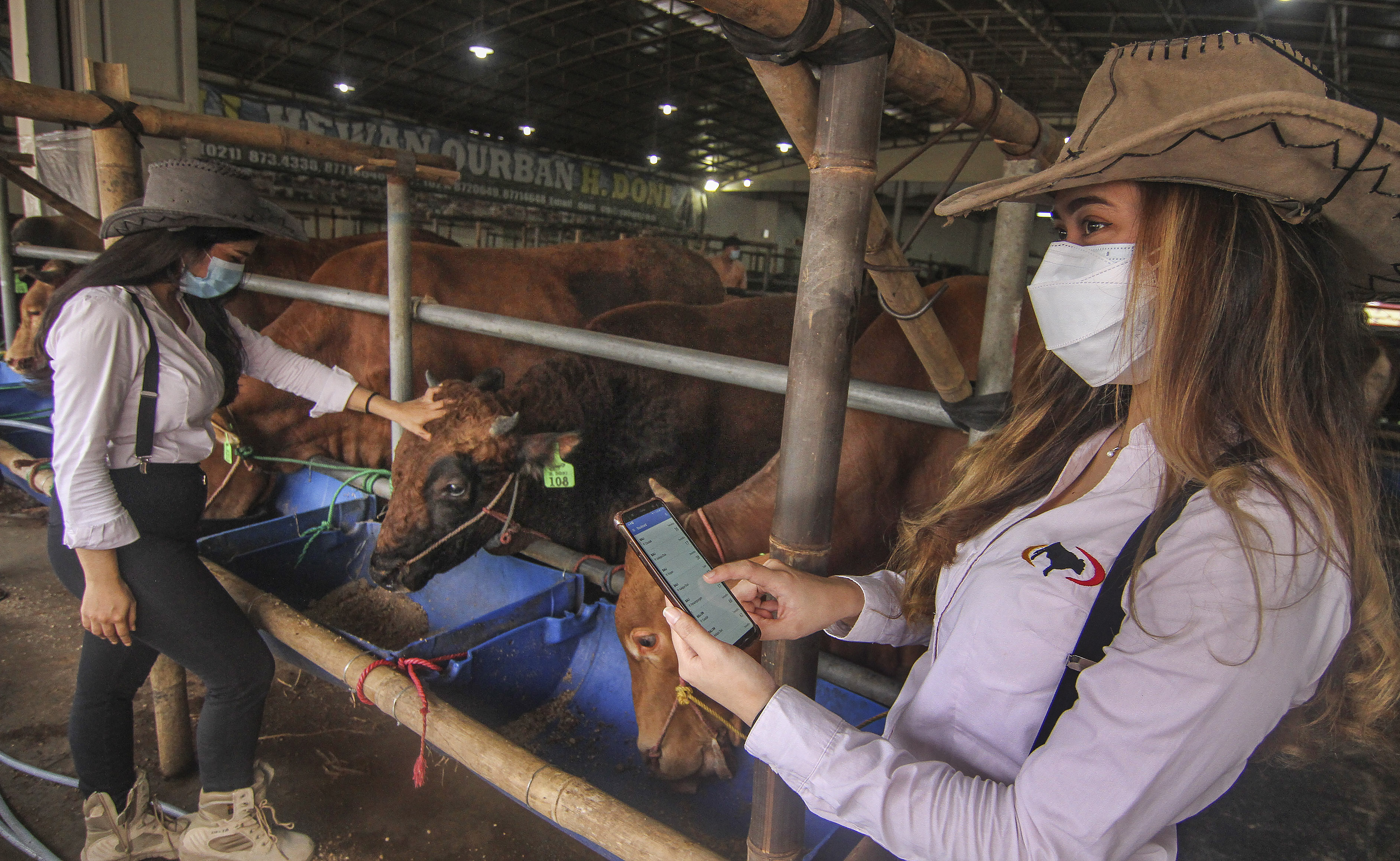 Wiraniaga atau SPG memeriksa stok hewan kurban di Mall Hewan Kurban Haji Doni, Depok, Jawa Barat.