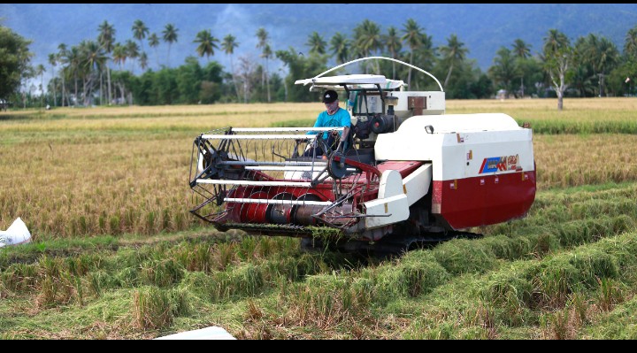 Ilustrasi: petani memanfaatkan teknologi pertanian