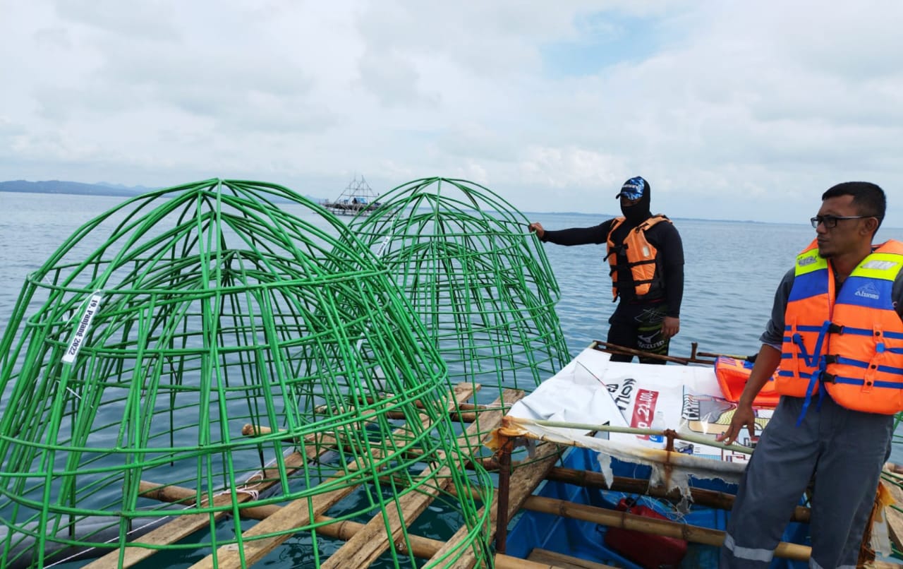 PT Timah Tbk sebanyak 3.105 unit artificial reef telah ditenggelamkan di Perairan Pulau Bangka dalam rentang waktu 2016-2020.