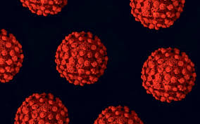 Pakar Laporkan Temuan Jenis Subvarian BA.2.75 di India: Centaurus