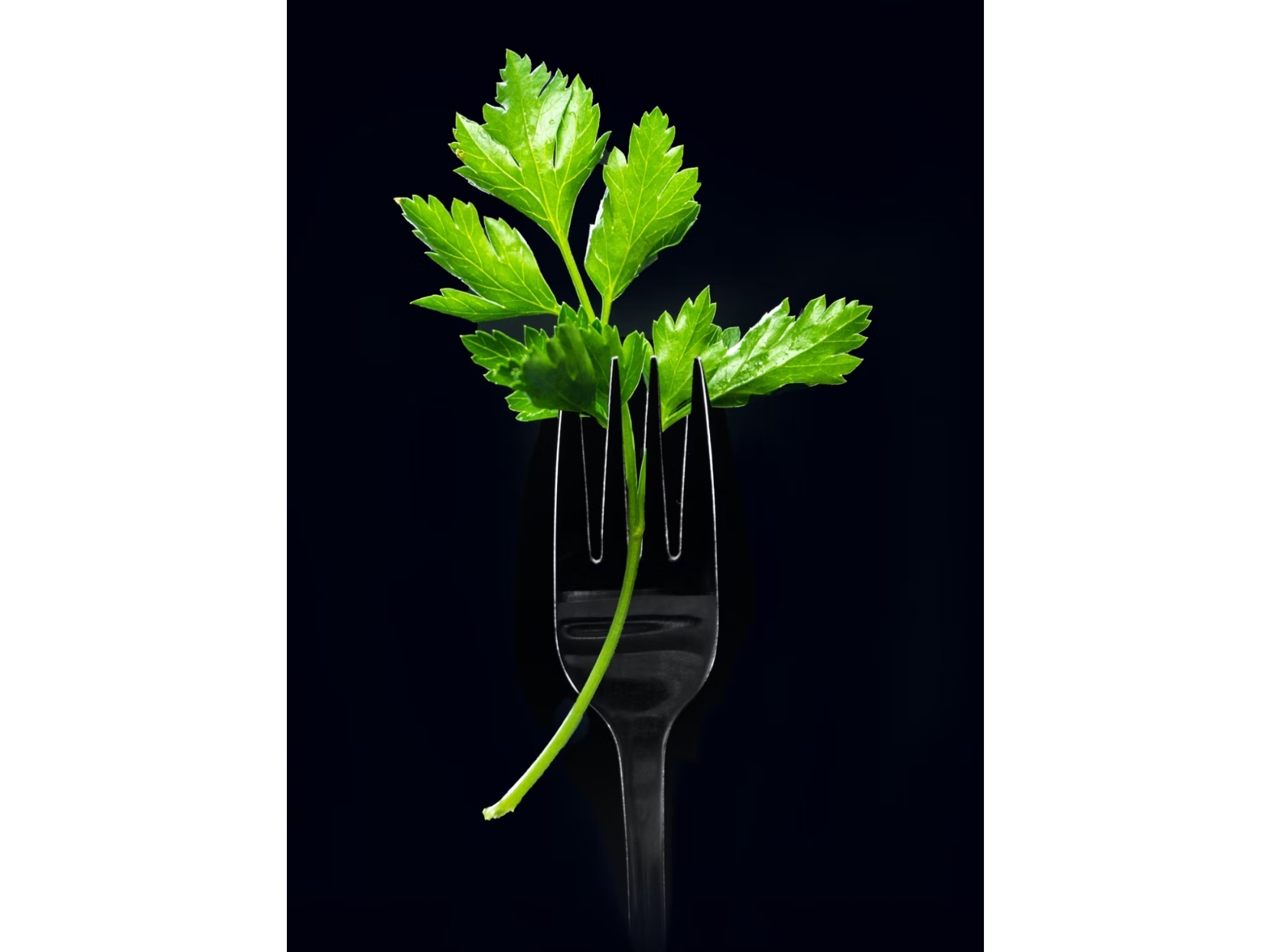 Ilustrasi vegetarian.