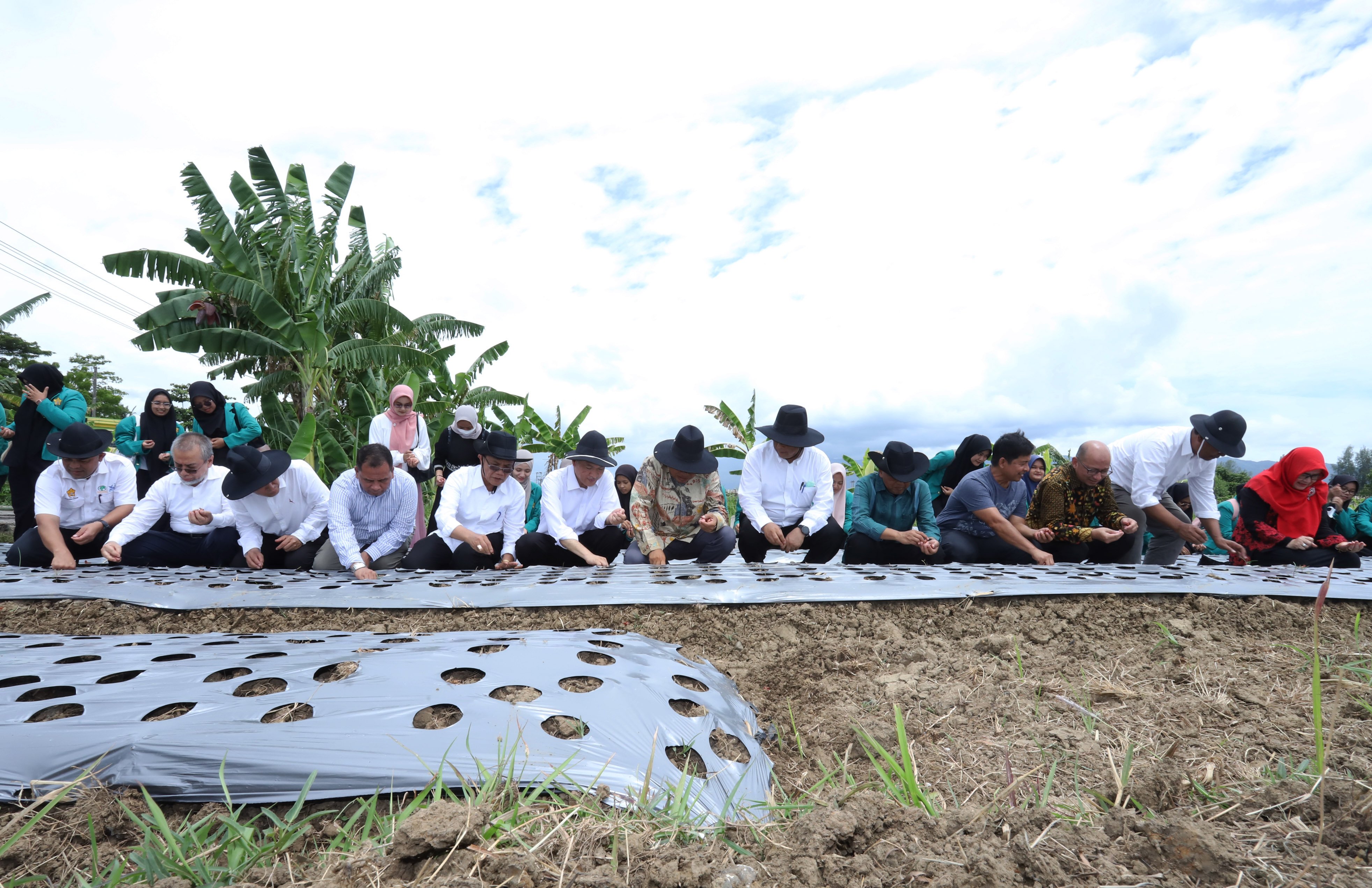 Penanaman bawang merah di Aceh Besar