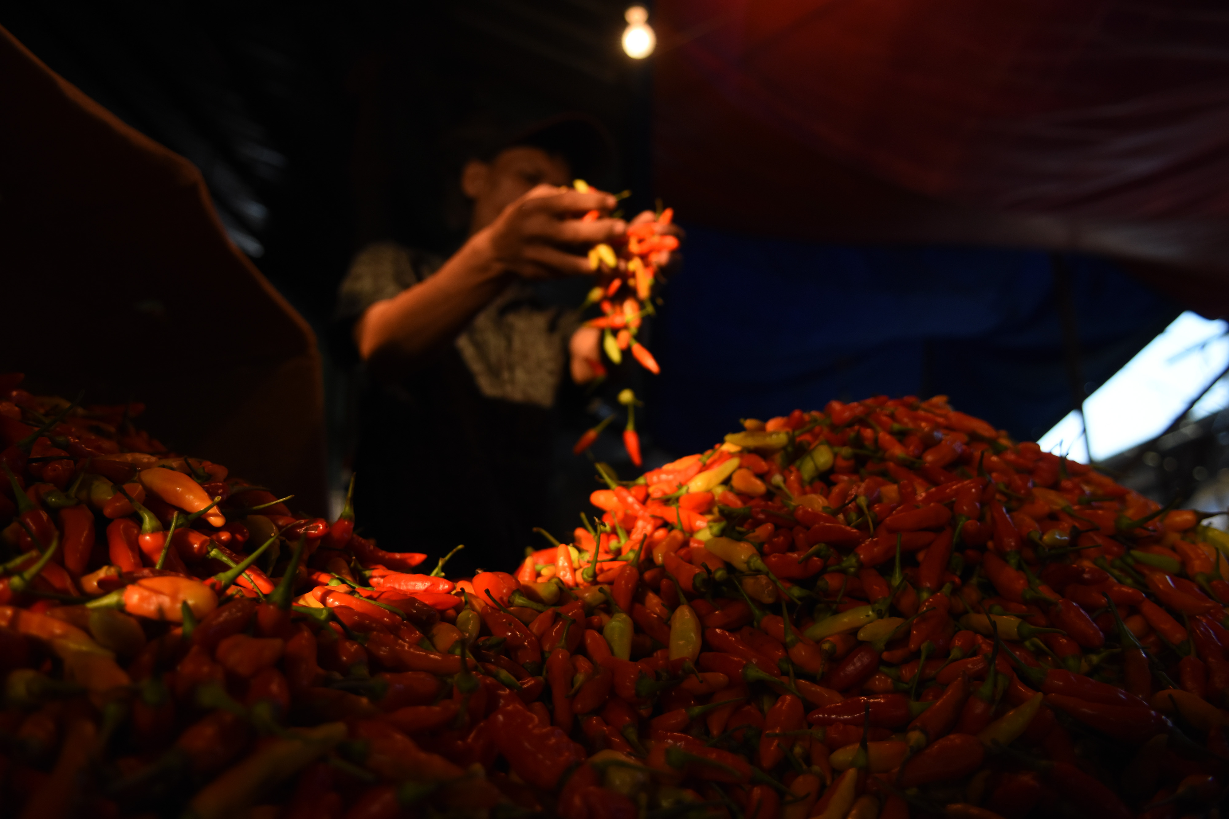 Pedagang memilah cabai yang akan dijual di Pasar Induk Kramat Jati, Jakarta.