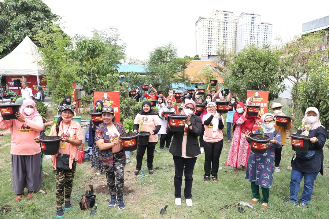 Relawan mak Ganjar Jakarta membagikan pohon cabai lengkap dengan media tanam agar masyarakat mandiri budidaya cabai untuk dinikmati hasilny 
