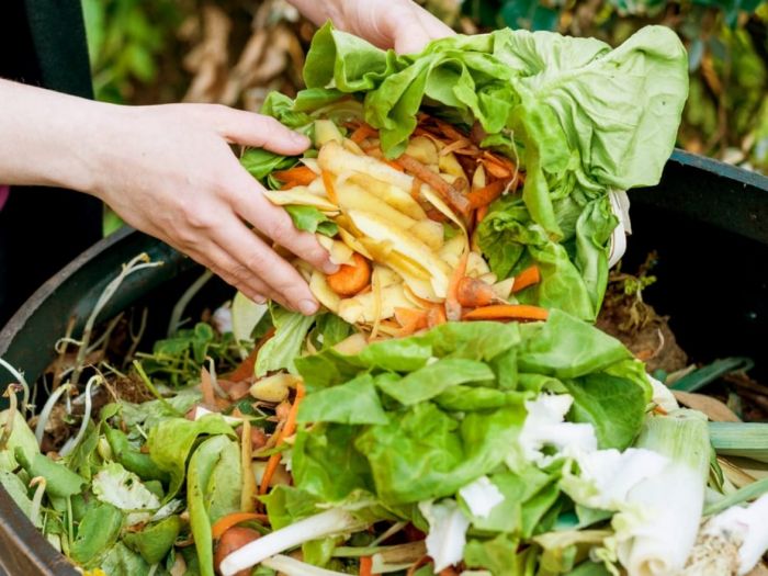 Ilustrasi sampah makanan