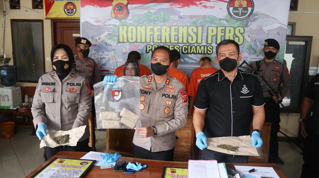Kapolres Ciamis AKBP Tony Prasetyo Yudhangkoro memperlihatkan barang bukti ganja dari tiga orang pengedar lintas kota dalam provinsi, Jumat 