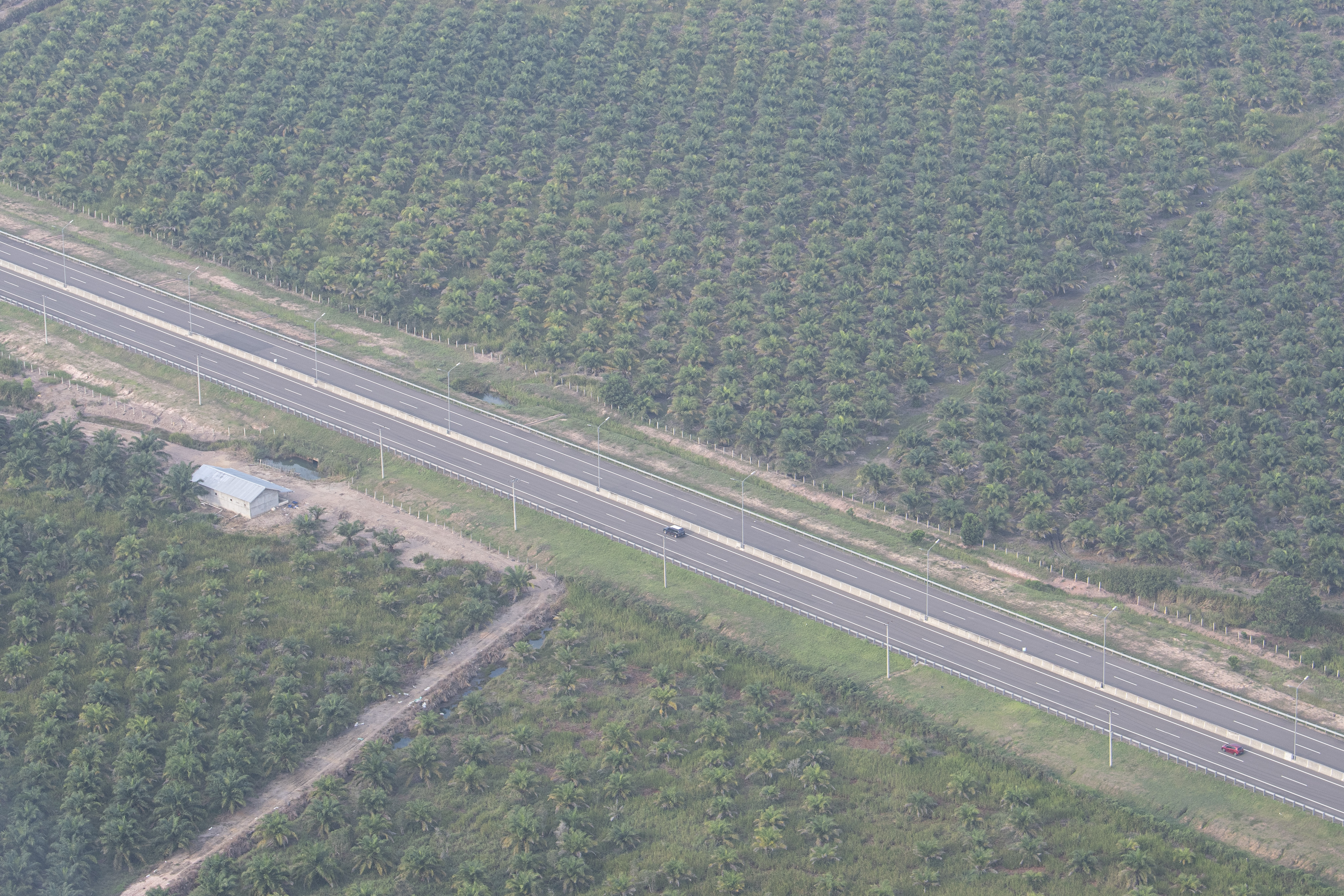 Foto aerial perkebunan kelapa sawit di Kabupaten Ogan Komering Ilir (OKI), Sumatera Selatan, beberapa waktu lalu.