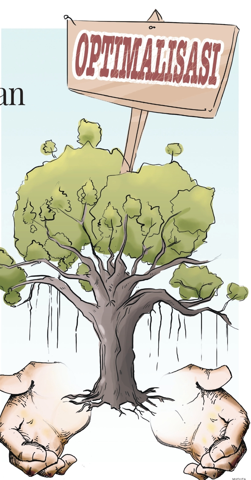 Optimalisasi pemanfaatan hasil sumber daya hutan antara lain meningkatkan produktivitas hutan,