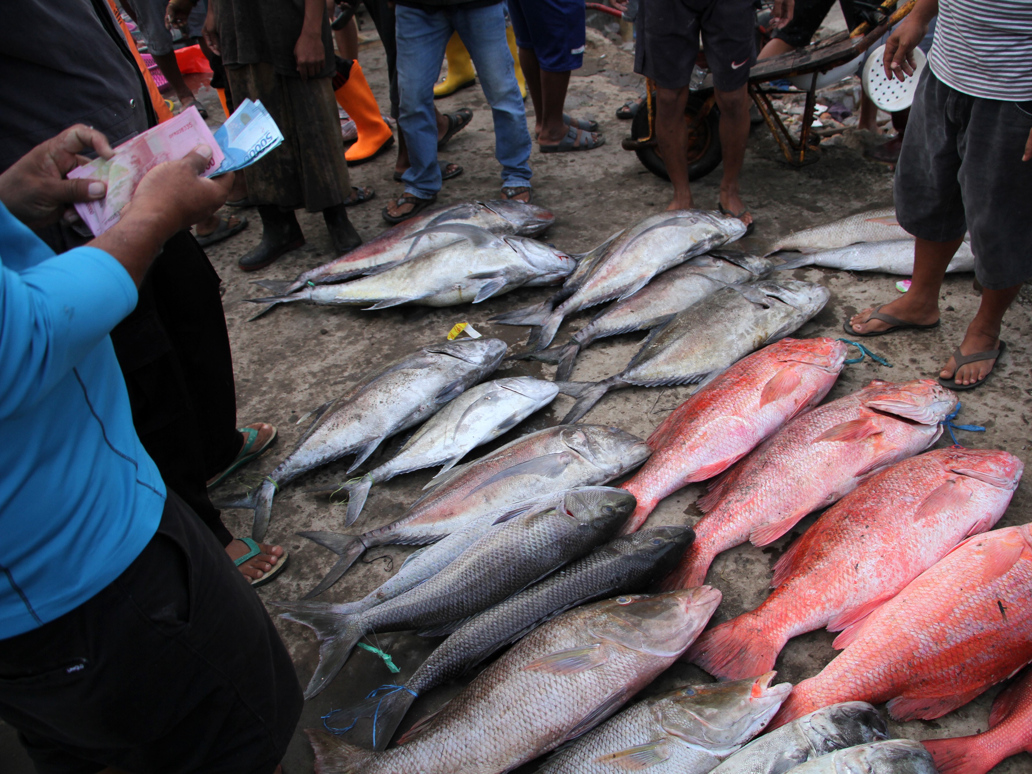 Mengenal Prinsip Ekonomi dan Terapan dalam Produksi, Distribusi, Konsumsi