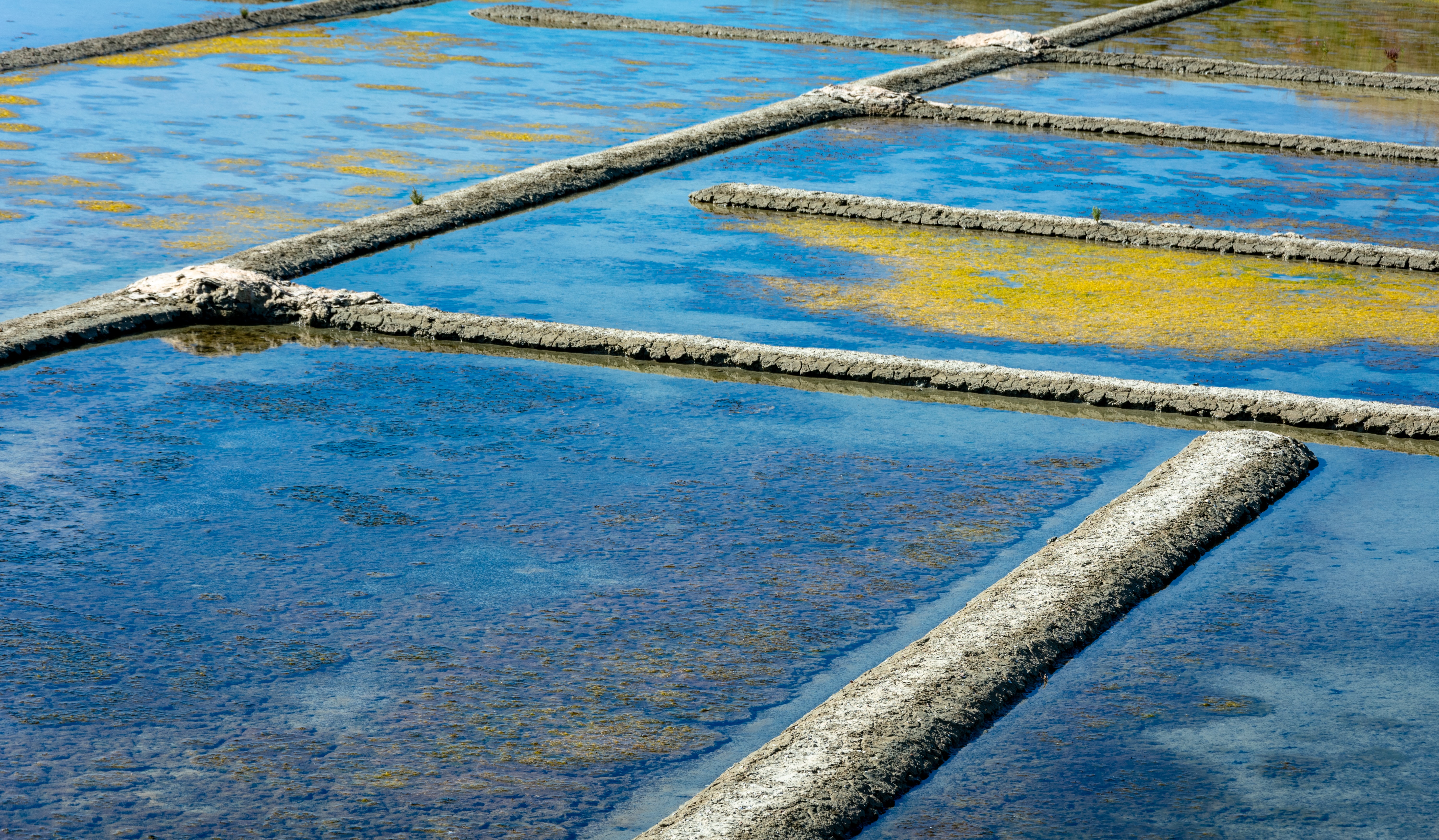 tambak garam di Prancis