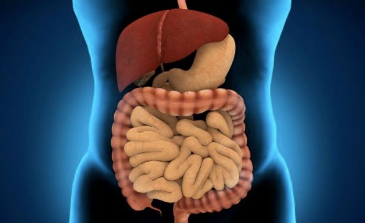 Mengenal Hormon pada Manusia, Ciri-ciri Ketidakseimbangan Hormon