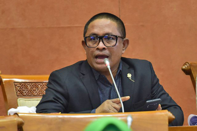 Anggota Komisi VI DPR RI Rafli.