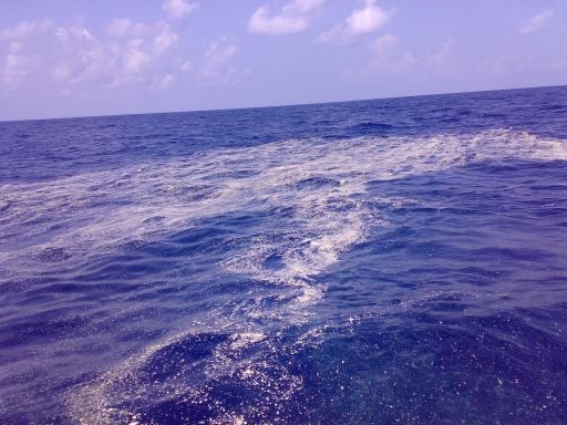 Tumpahan minyak di laut Timor yang diambil pada 6 Oktober 1999. 