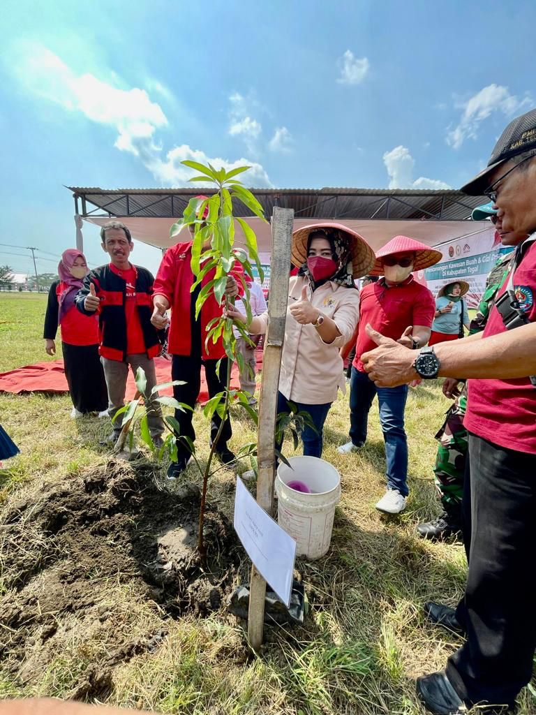 Anggota DPR RI Dewi Aryani mencanangkan kawasan desa buah di Kabupaten Tegal